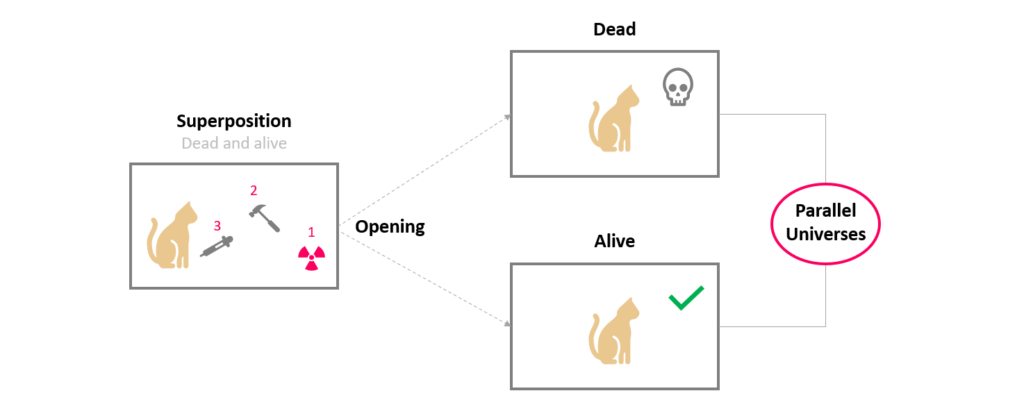 Many Worlds Theory (Schrödinger's Cat)